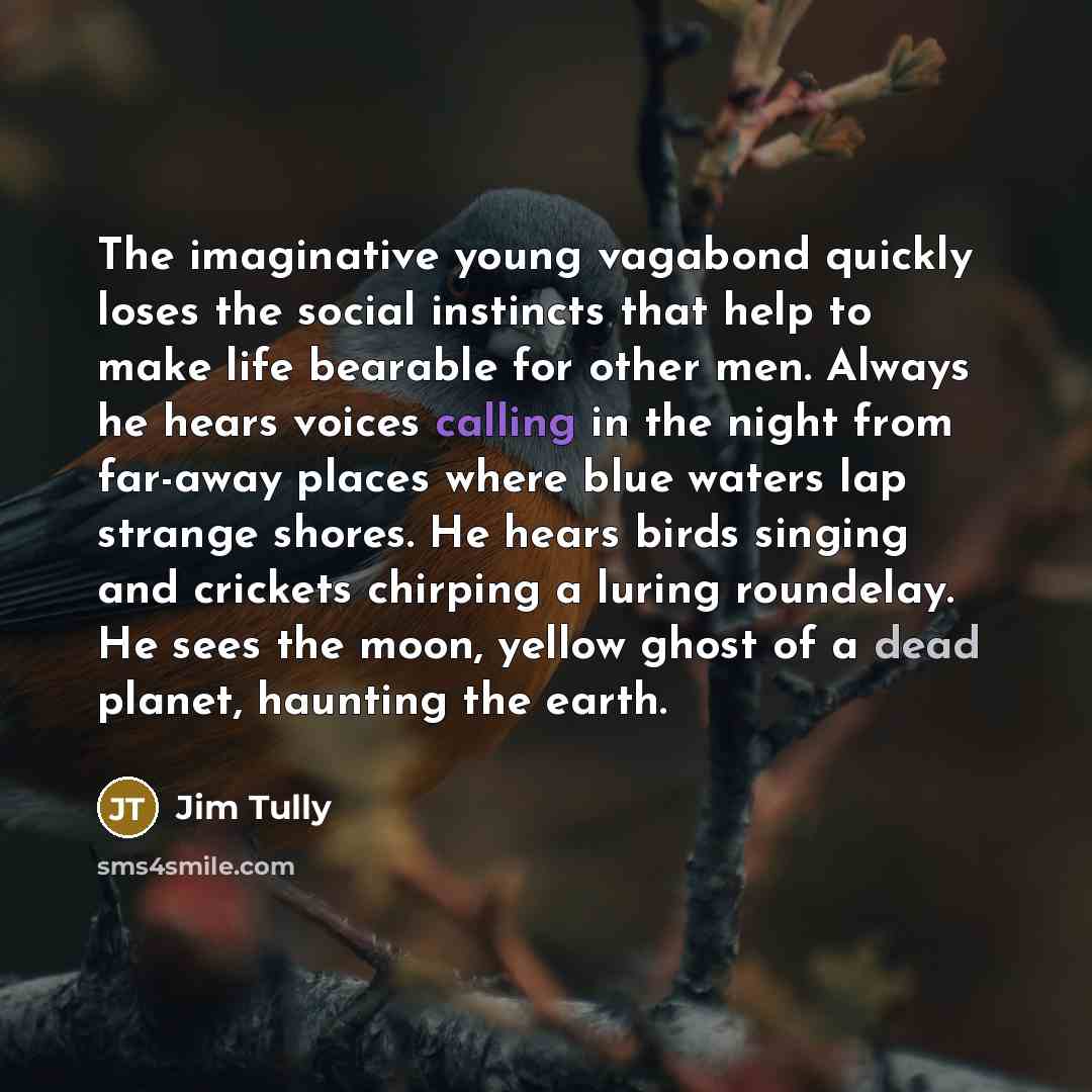 “The imaginative young vagabond quickly loses the social instincts that…” quote by Jim Tully