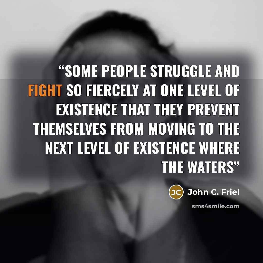 “Some people struggle and fight so fiercely at one level of existence that they prevent themselves from moving to the next level of existence where the waters” quote by John C. Friel