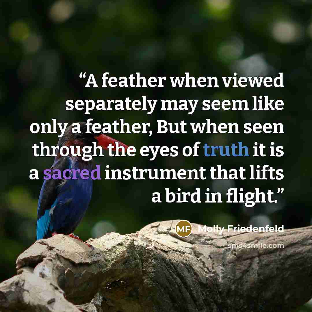 “A feather when viewed separately may seem like only a feather, But when seen through the eyes of truth it is a sacred instrument that lifts a bird in flight.” quote by Molly Friedenfeld