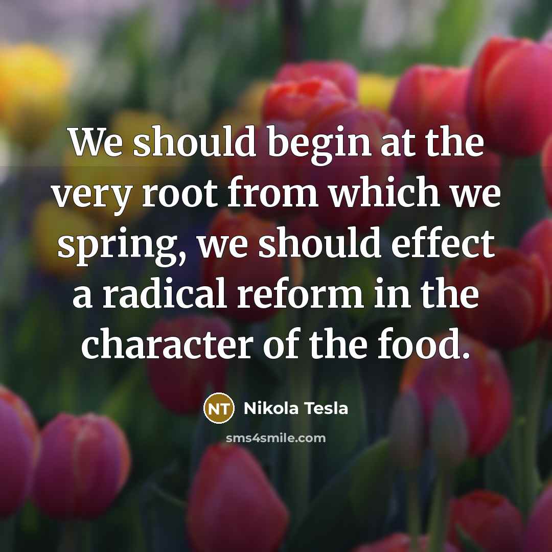“We should begin at the very root from which we…” quote by Nikola Tesla