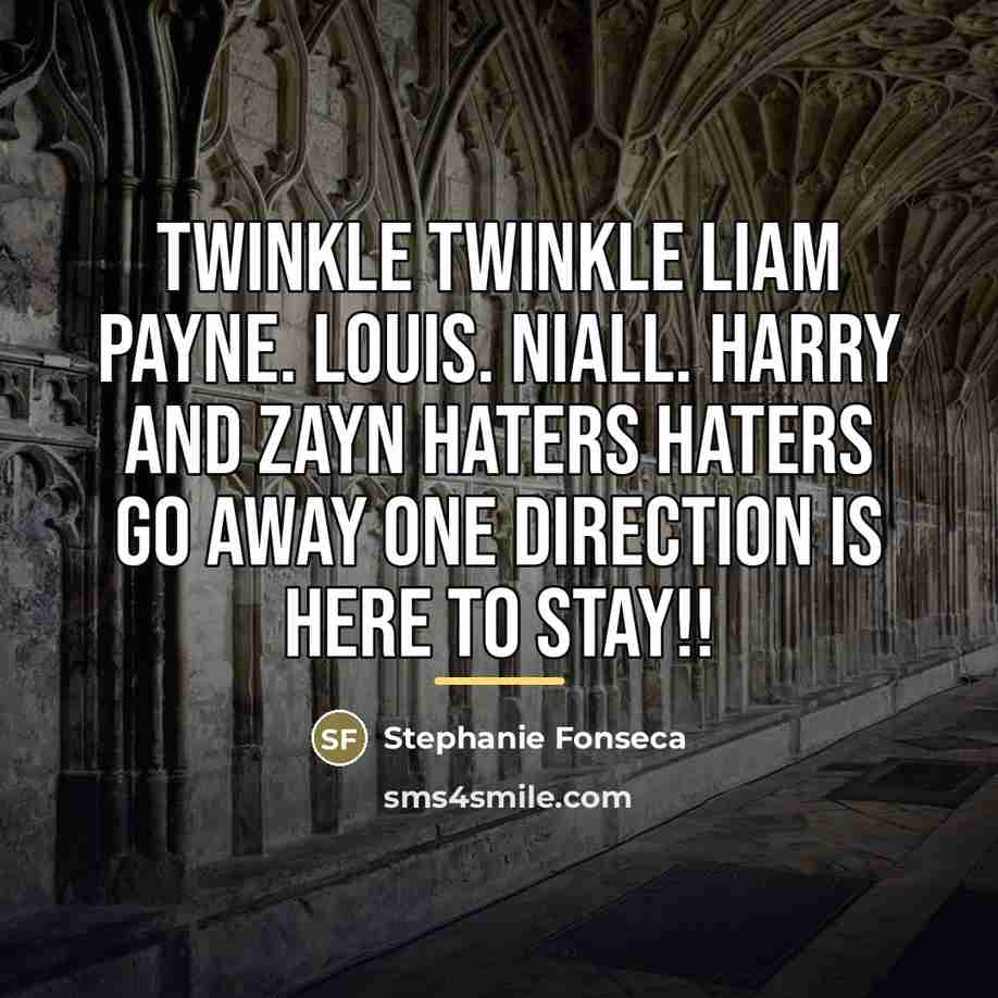 “Twinkle Twinkle Liam Payne. Louis. Niall. Harry And Zayn Haters…” quote by Stephanie Fonseca