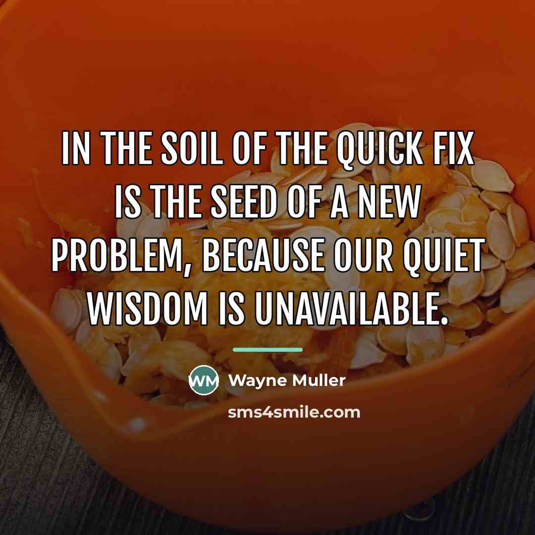“In the soil of the quick fix is the seed…” quote by Wayne Muller