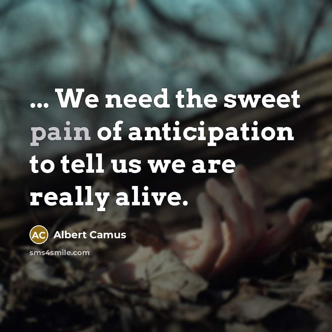 “... We need the sweet pain of anticipation to tell…” quote by Albert Camus
