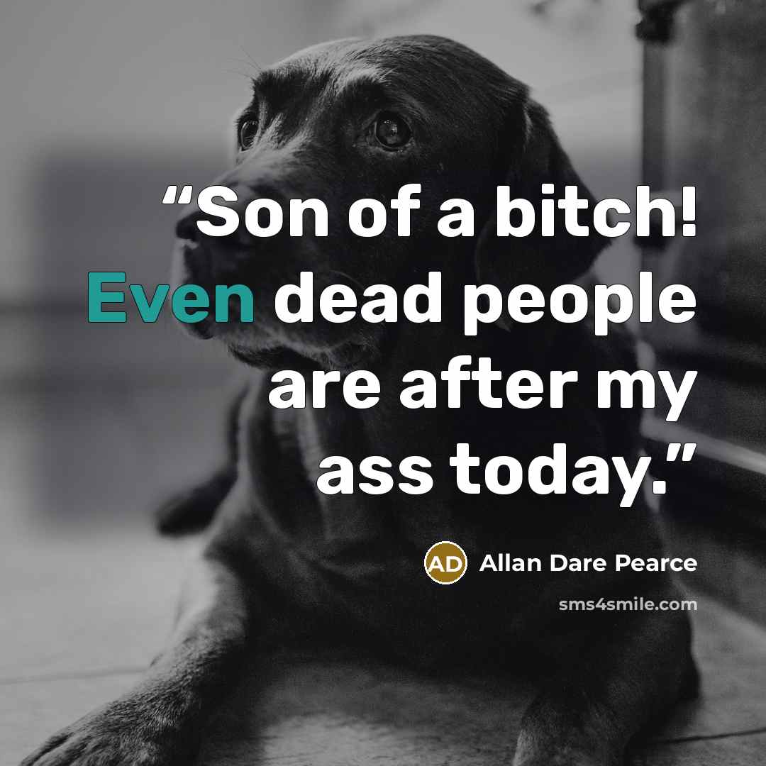 “Son of a bitch! Even dead people are after my ass today.” quote by Allan Dare Pearce