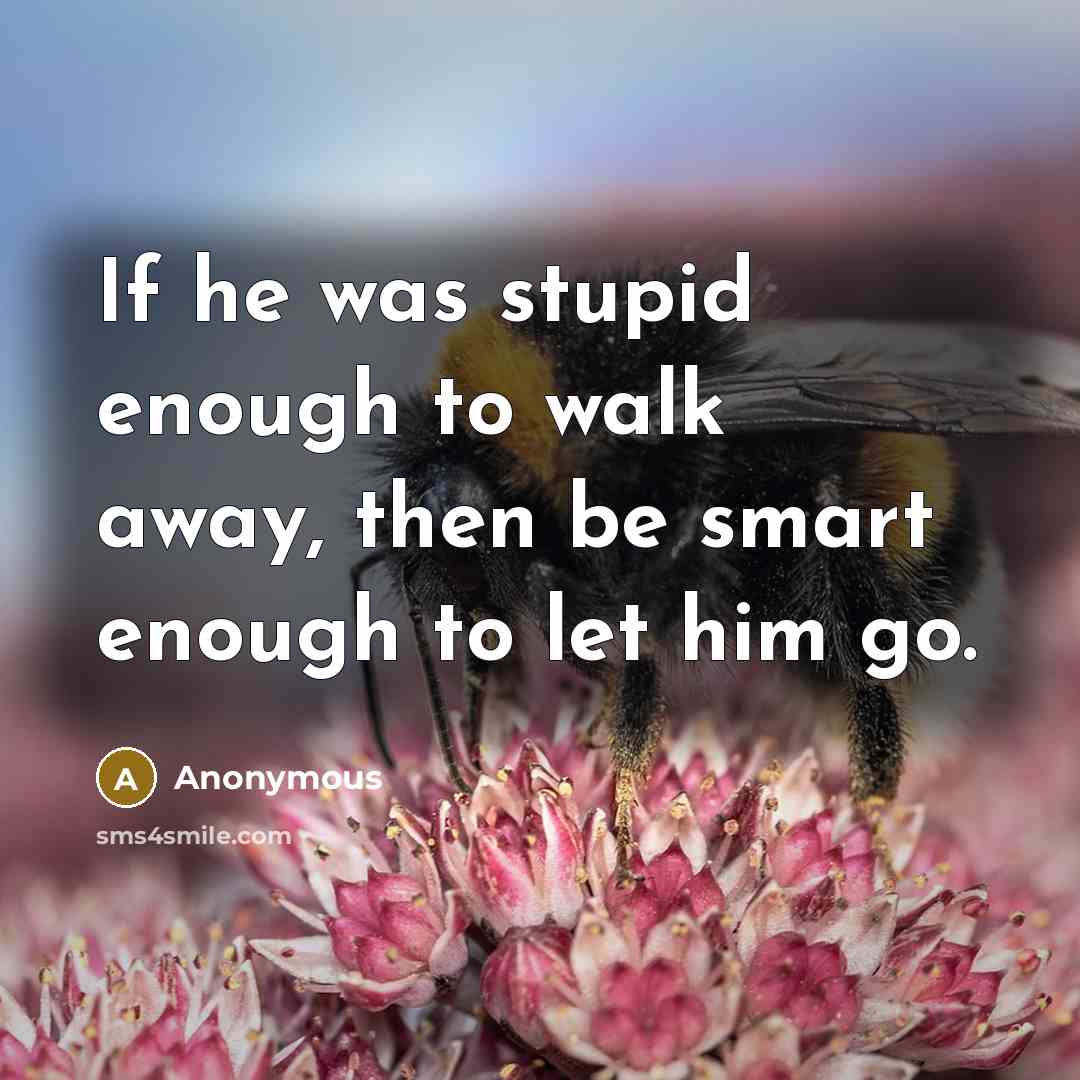 “If he was stupid enough to walk away, then be…” quote by Anonymous