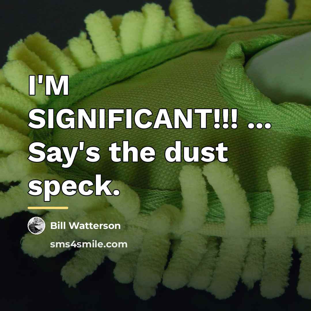 “I'M SIGNIFICANT!!! ... Say's the dust speck.…” quote by Bill Watterson