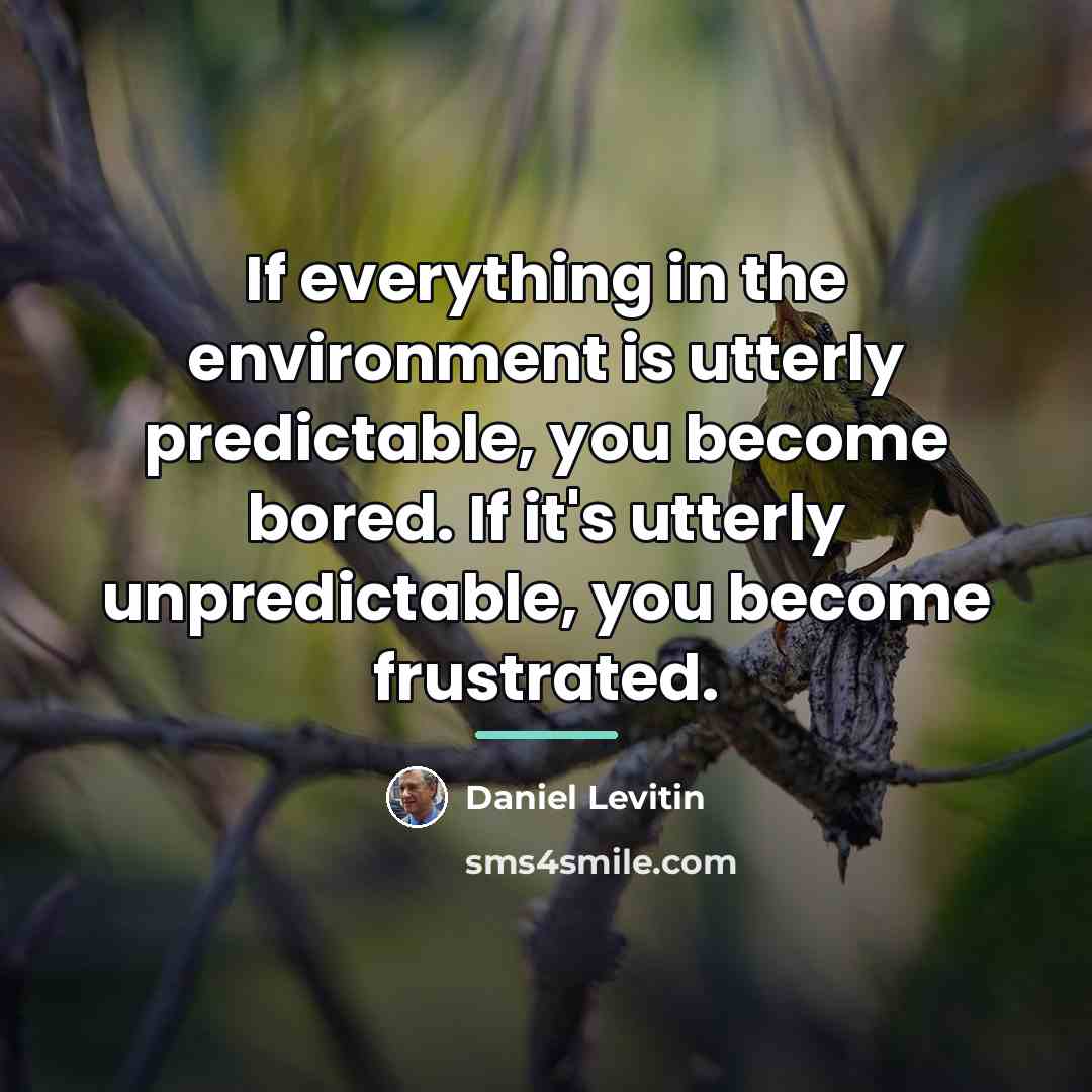 “If everything in the environment is utterly predictable, you become…” quote by Daniel Levitin