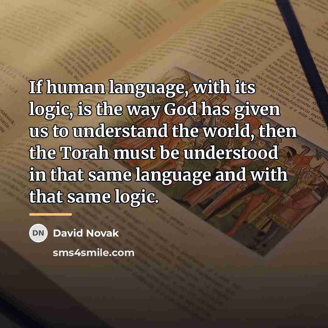 “If human language, with its logic, is the way God…” quote by David Novak