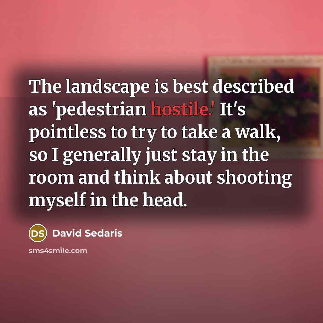 “The landscape is best described as 'pedestrian hostile.' It's pointless…” quote by David Sedaris