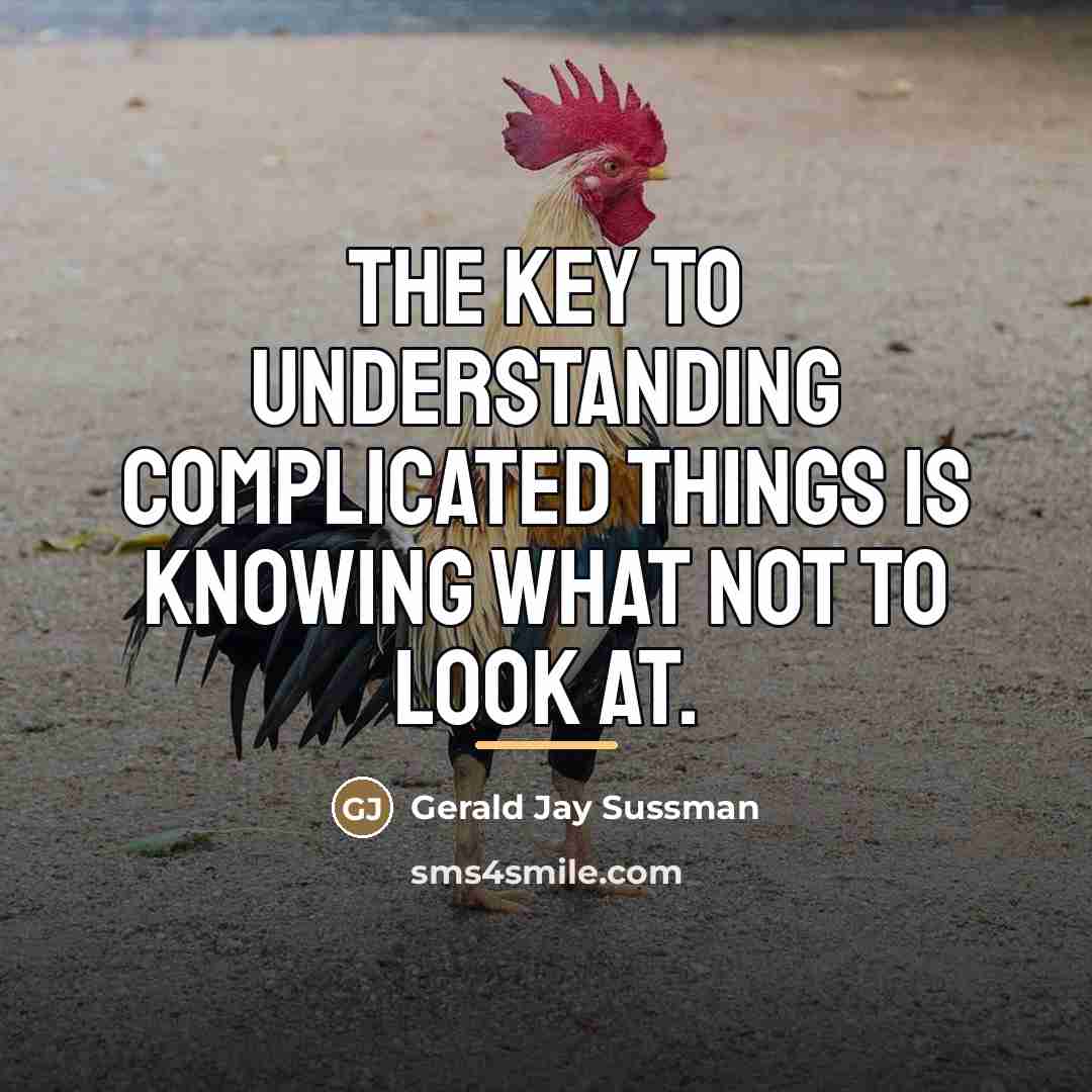“The key to understanding complicated things is knowing what not…” quote by Gerald Jay Sussman