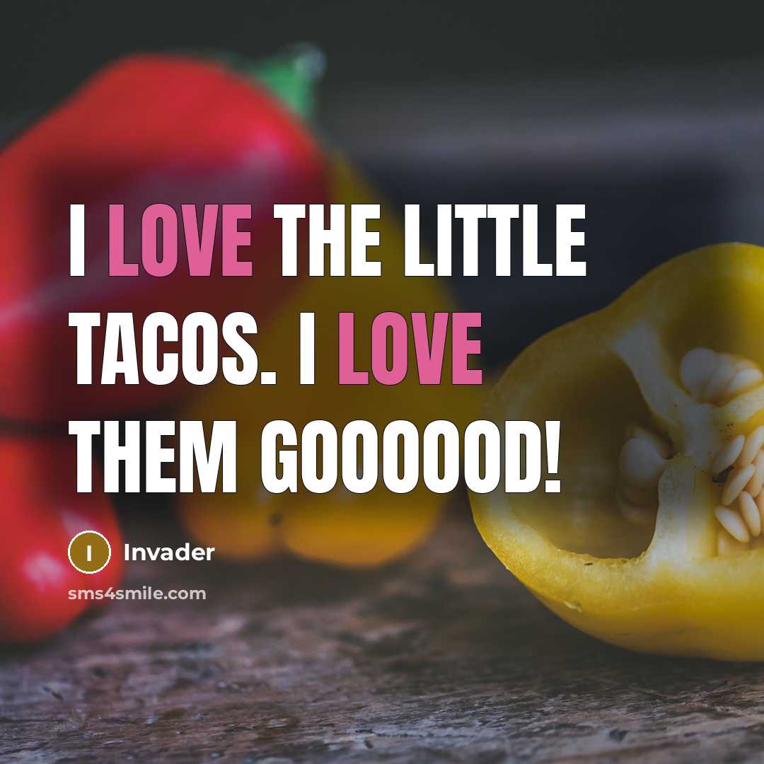 “I love the little tacos. I love them goooood!” quote by Invader