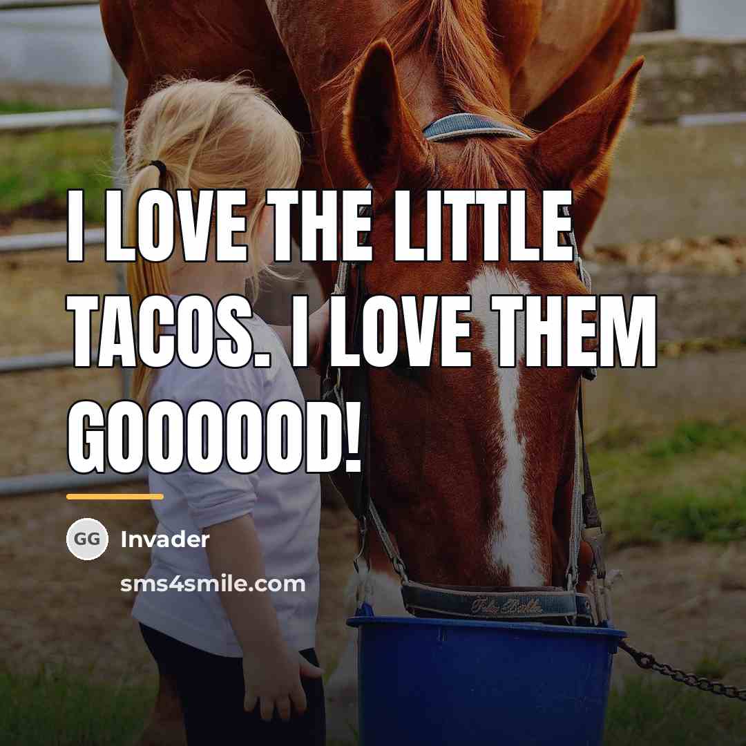 “I love the little tacos. I love them goooood!…” quote by Invader