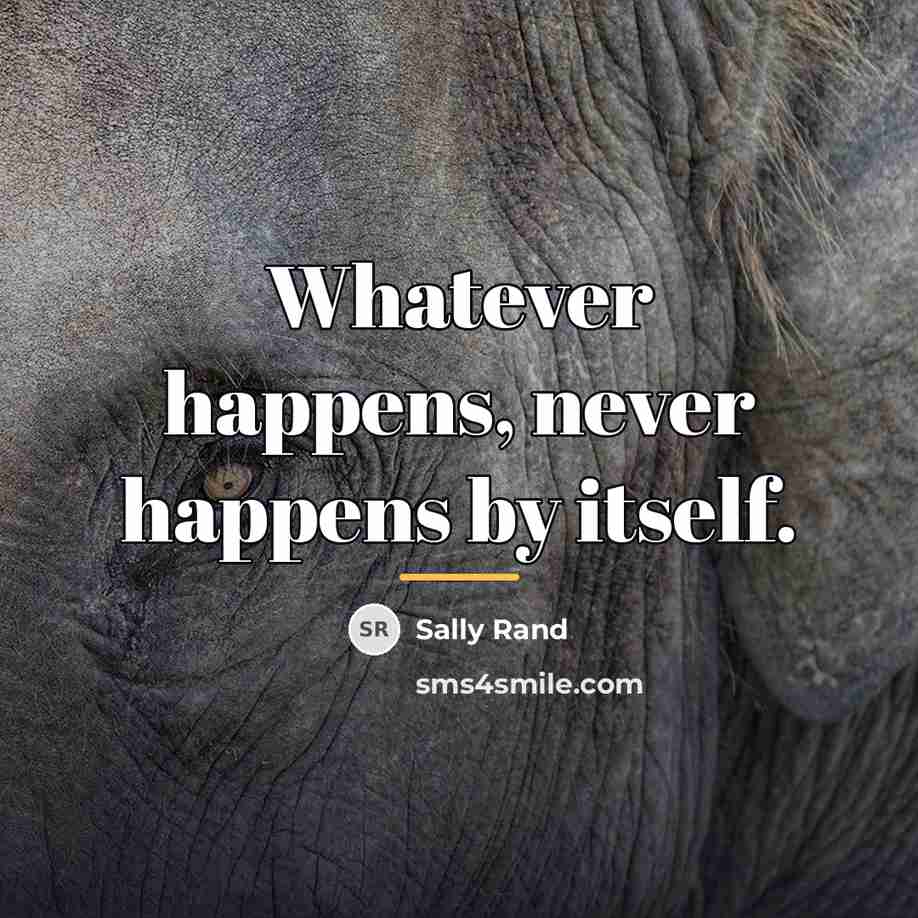 “Whatever happens, never happens by itself.…” quote by Sally Rand