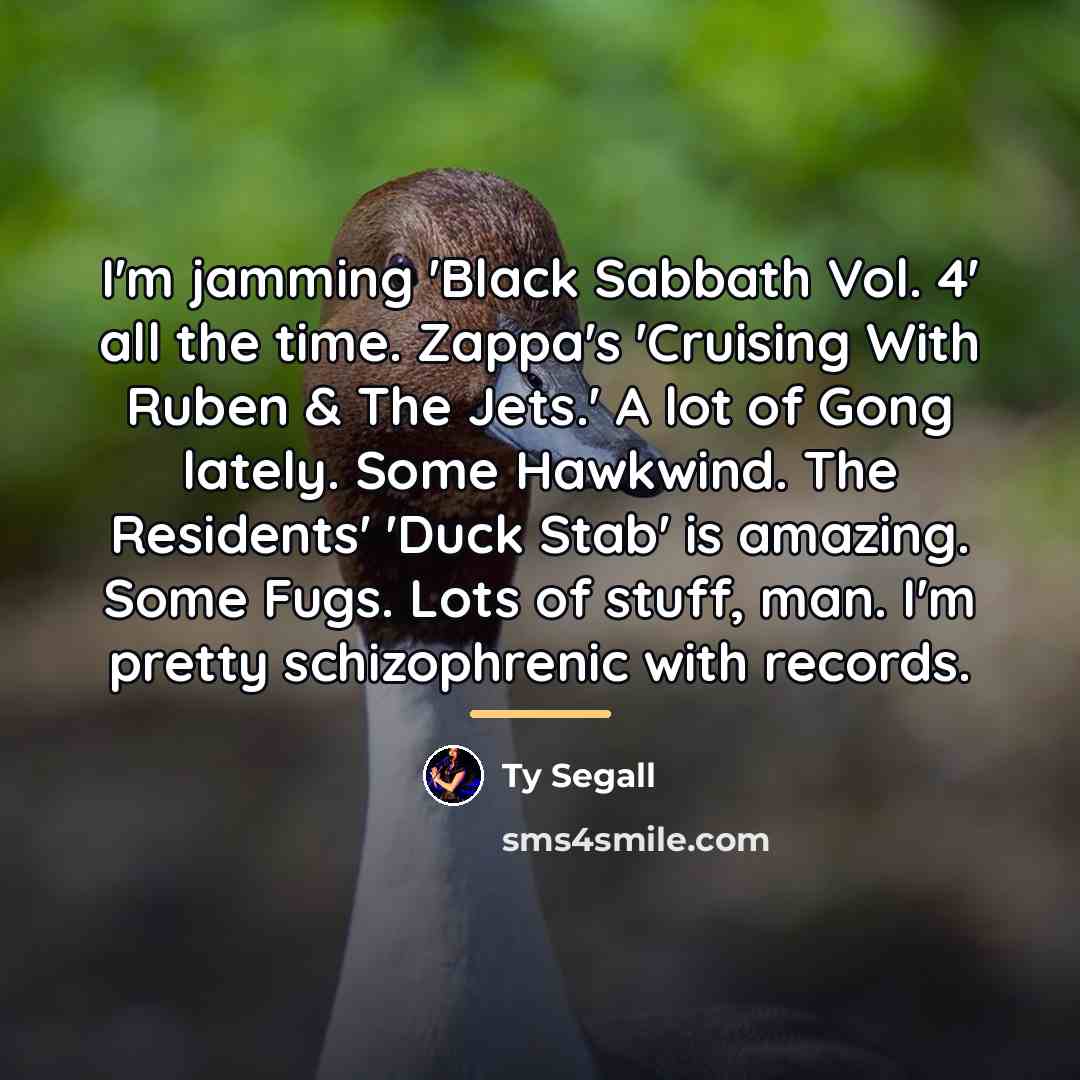 “I'm jamming 'Black Sabbath Vol. 4' all the time. Zappa's…” quote by Ty Segall