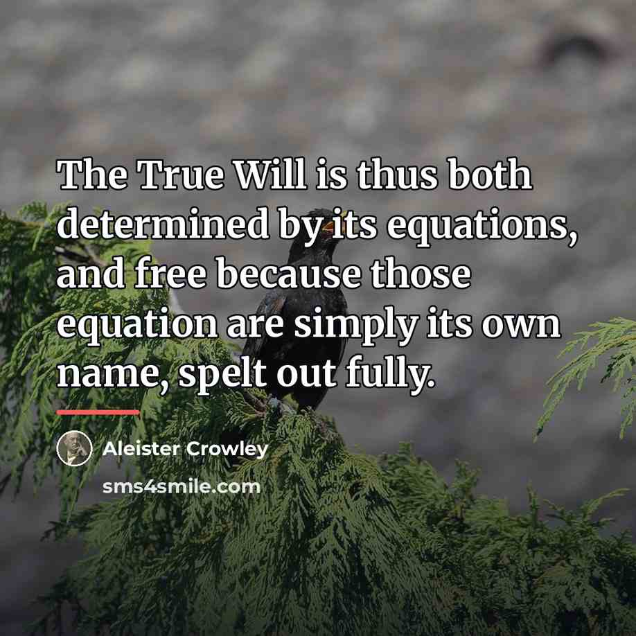 “The True Will is thus both determined by its equations,…” quote by Aleister Crowley