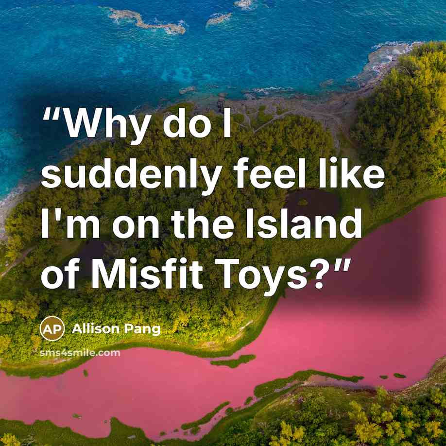 “Why do I suddenly feel like I'm on the Island of Misfit Toys?” quote by Allison Pang