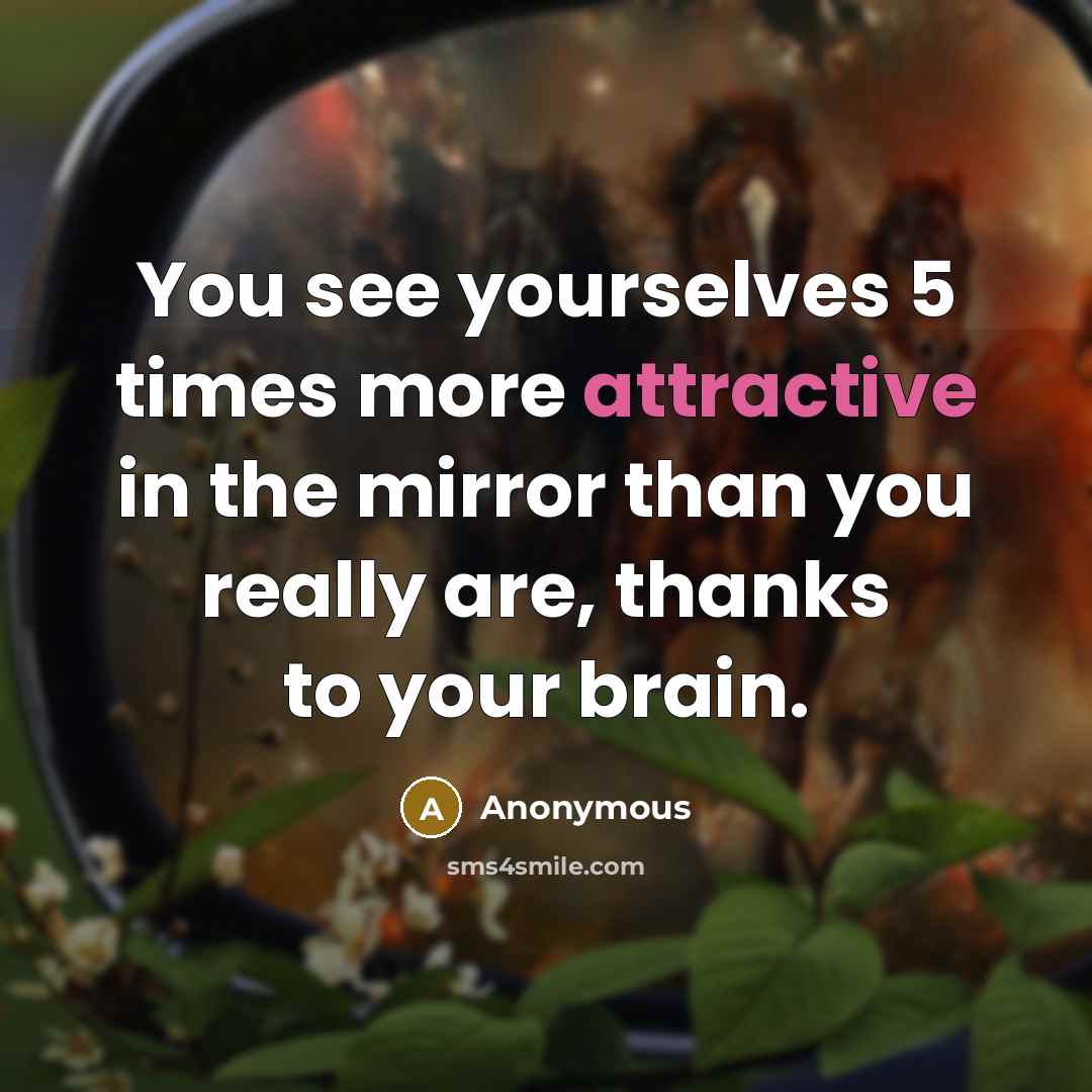 “You see yourselves 5 times more attractive in the mirror than you really are, thanks to your brain.” quote by Anonymous