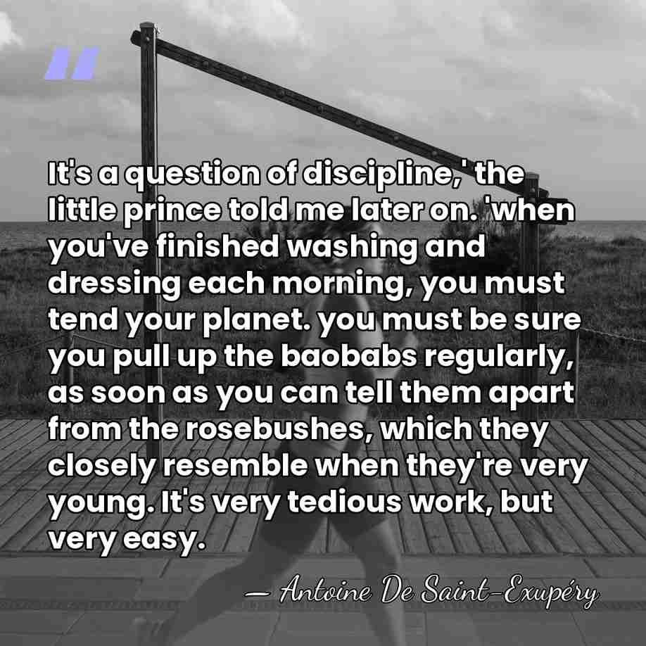 It's a question of discipline,' the little prince told me later on.&hellip; - Antoine de Saint-Exupery
