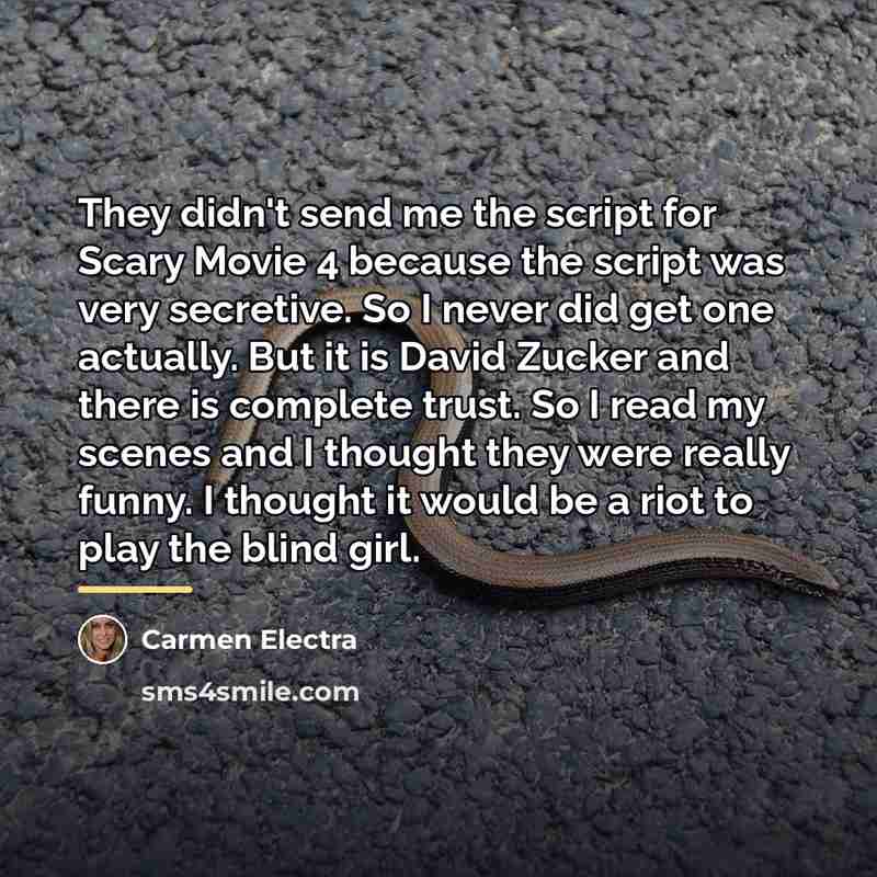 “They didn't send me the script for Scary Movie 4…” quote by Carmen Electra