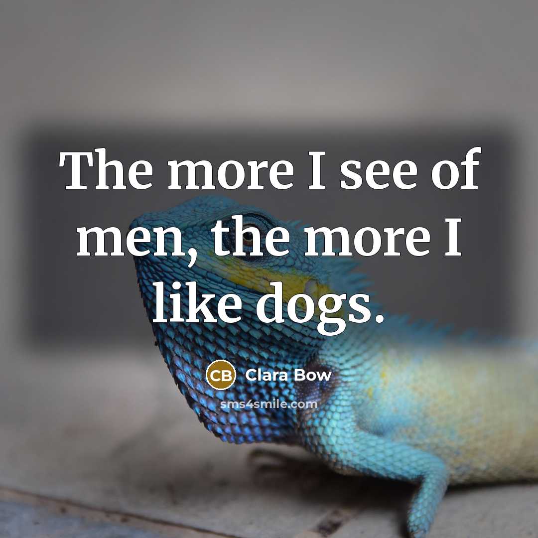 “The more I see of men, the more I like dogs.” quote by Clara Bow