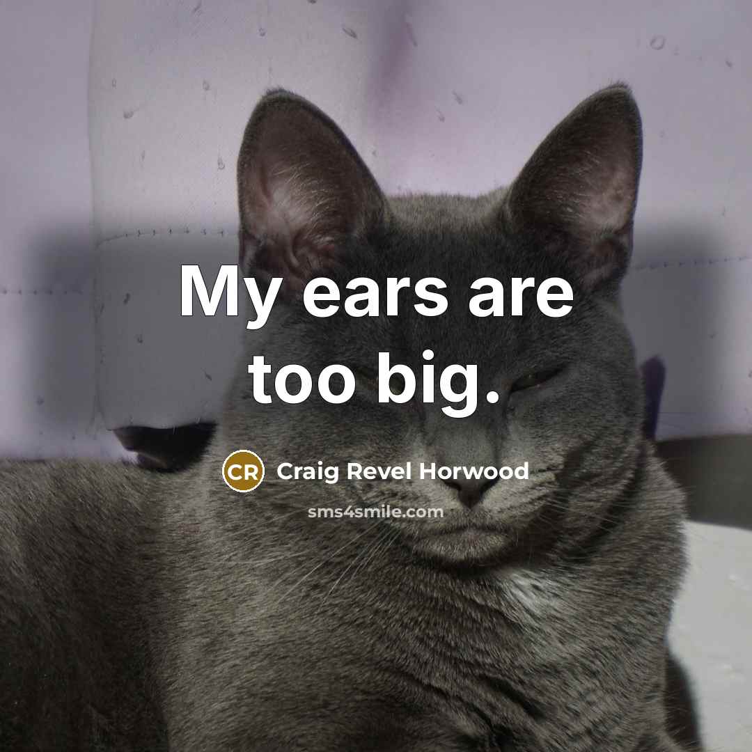 “My ears are too big.…” quote by Craig Revel Horwood