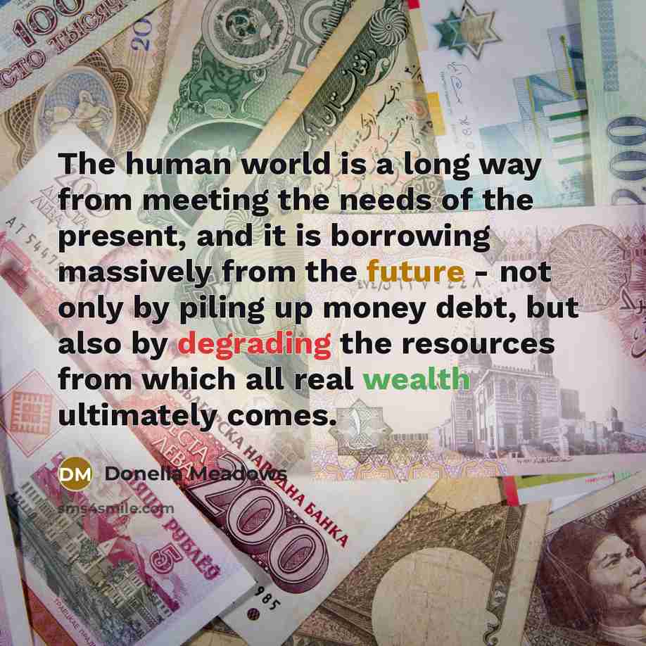 “The human world is a long way from meeting the…” quote by Donella Meadows