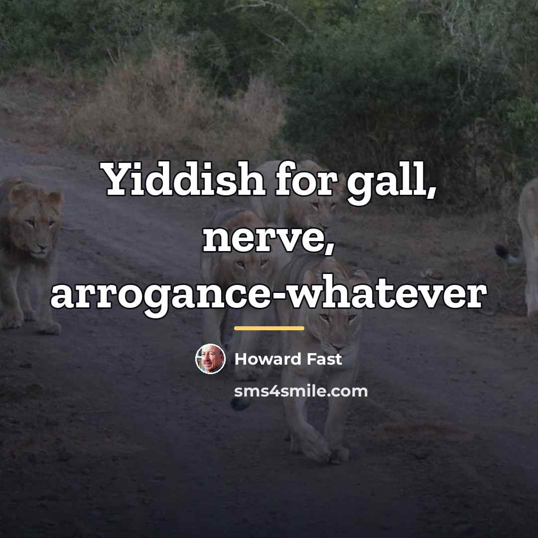 “Yiddish for gall, nerve, arrogance-whatever…” quote by Howard Fast