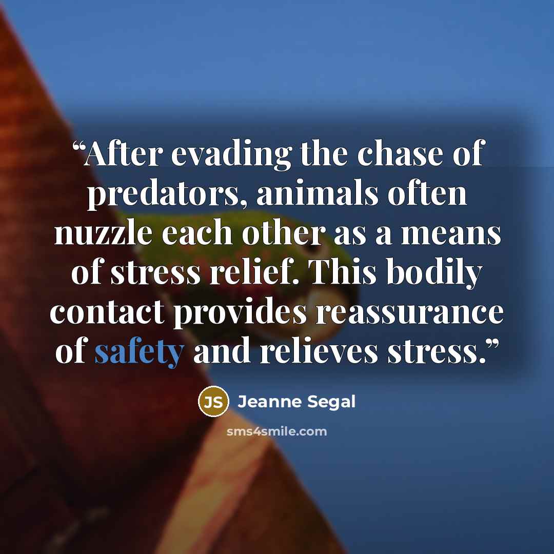 “After evading the chase of predators, animals often nuzzle each other as a means of stress relief. This bodily contact provides reassurance of safety and relieves stress.” quote by Jeanne Segal