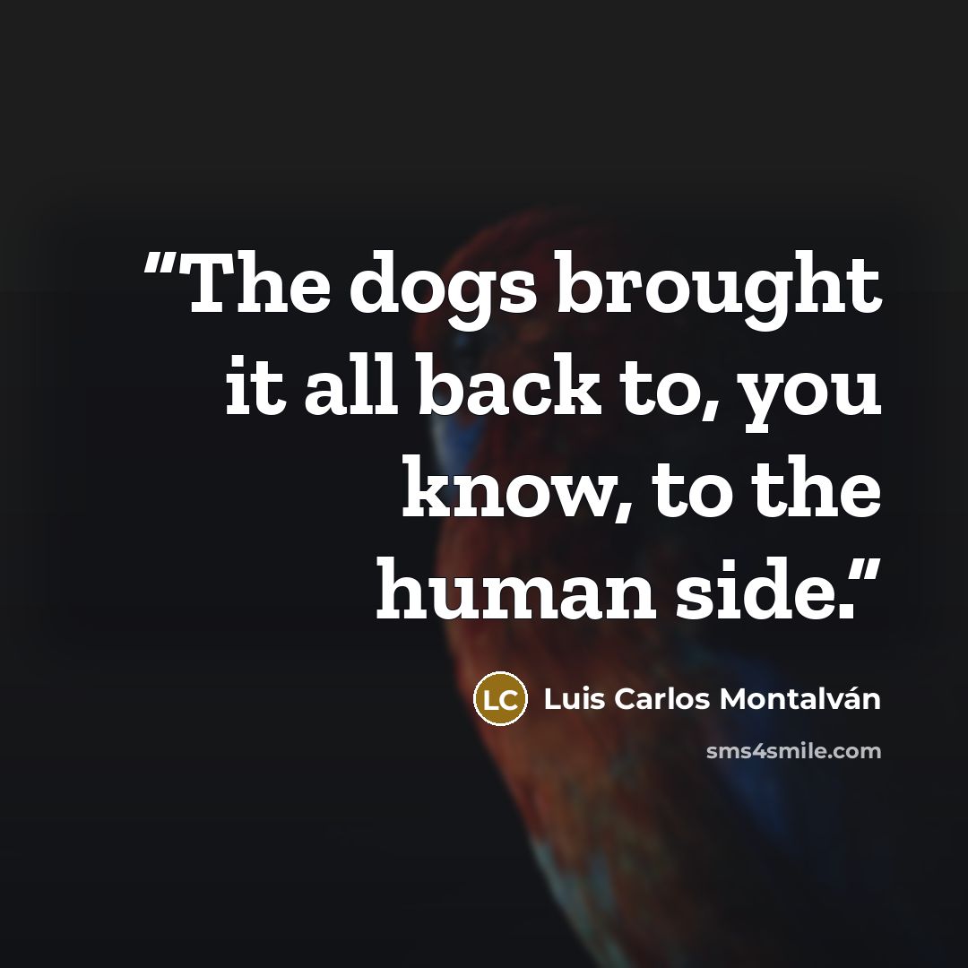 “The dogs brought it all back to, you know, to the human side.” quote by Luis Carlos Montalván