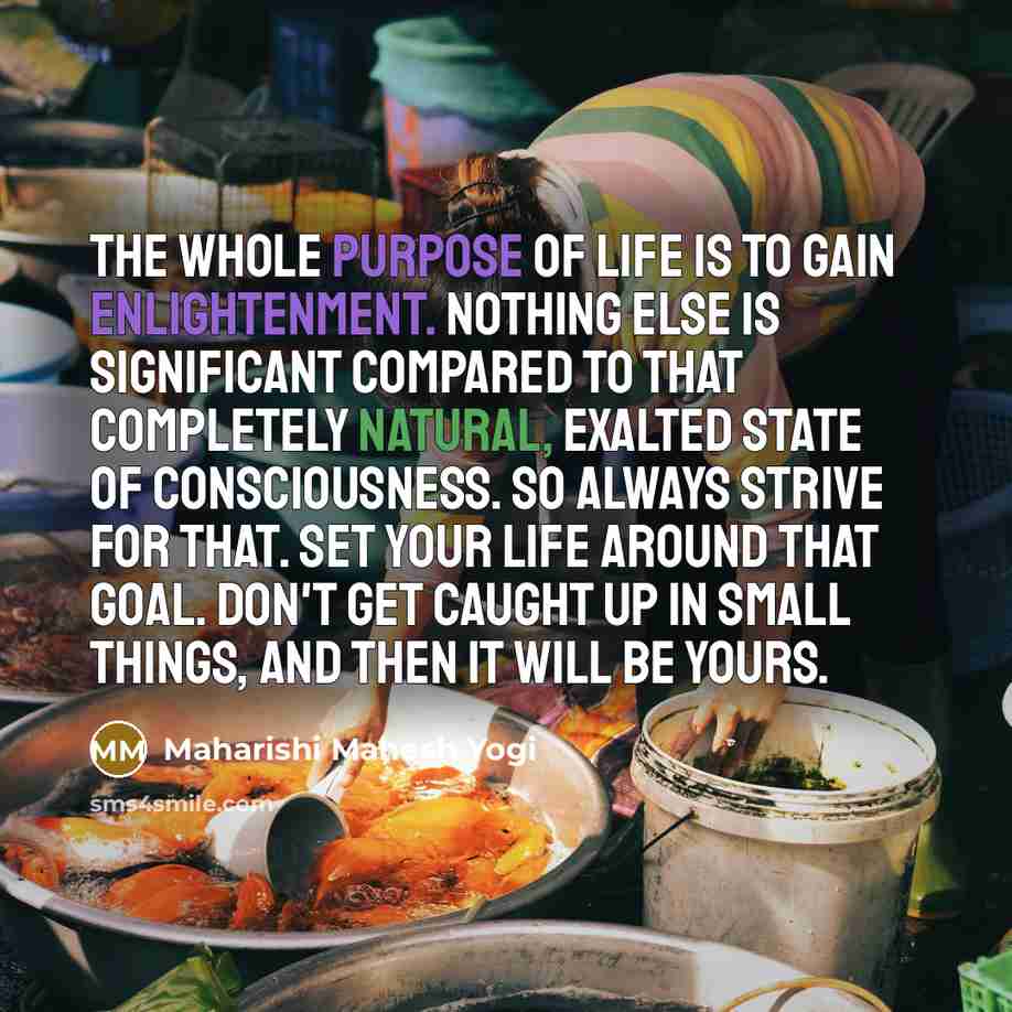 “The whole purpose of life is to gain enlightenment. Nothing…” quote by Maharishi Mahesh Yogi
