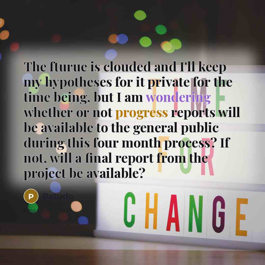 “The fturue is clouded and I'll keep my hypotheses for it private for the time being, but I am wondering whether or not progress reports will be available to the general public during this four month process? If not, will a final report from the project be available?” quote by Patudo
