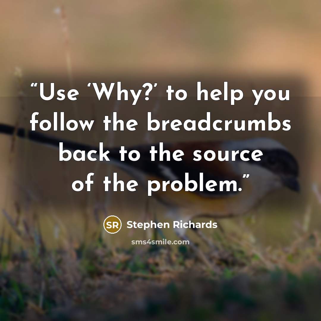 “Use ‘Why?’ to help you follow the breadcrumbs back to the source of the problem.” quote by Stephen Richards