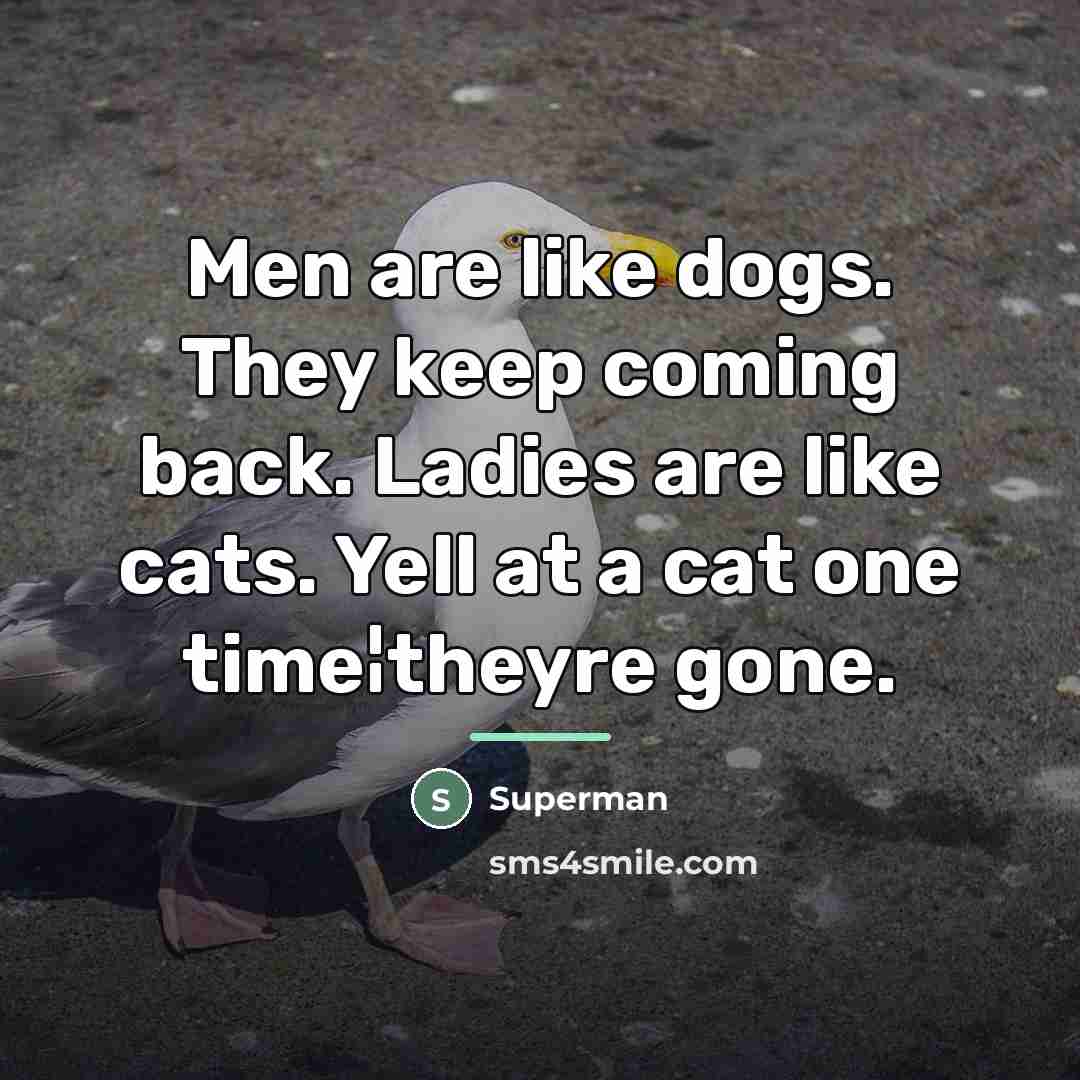 “Men are like dogs. They keep coming back. Ladies are…” quote by Superman