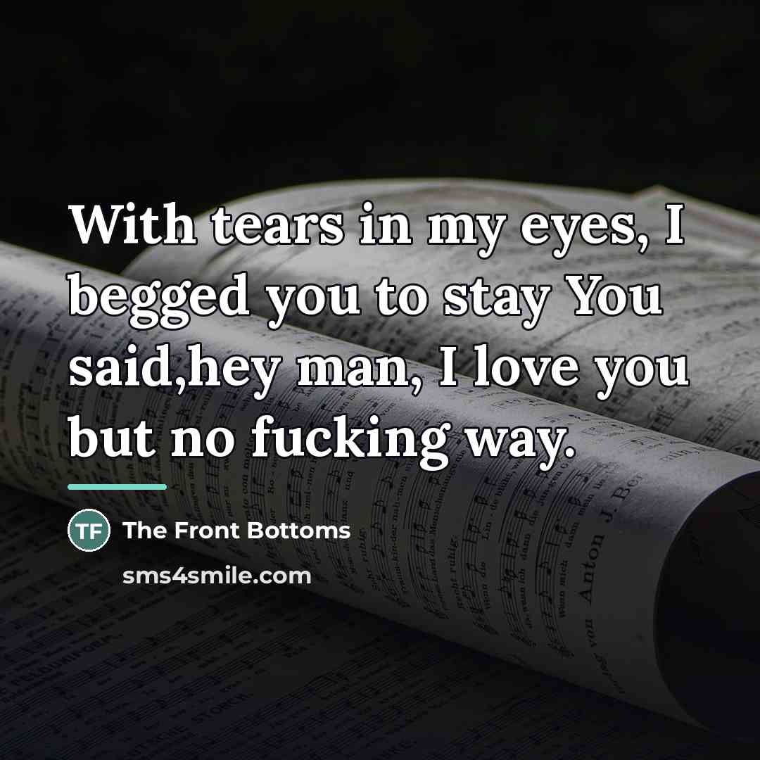 “With tears in my eyes, I begged you to stay…” quote by The Front Bottoms
