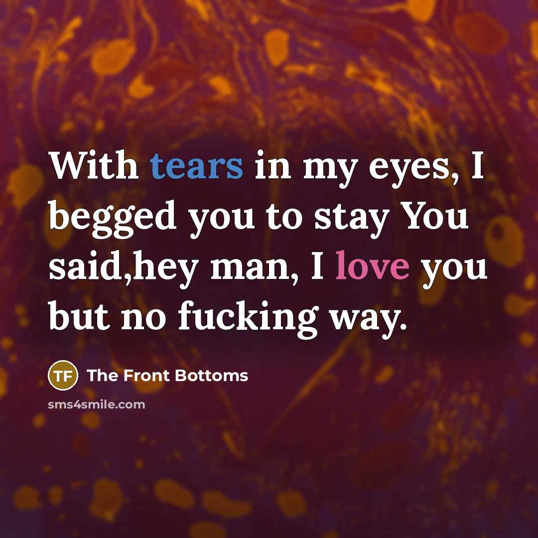 “With tears in my eyes, I begged you to stay You said,hey man, I love you but no fucking way.” quote by The Front Bottoms