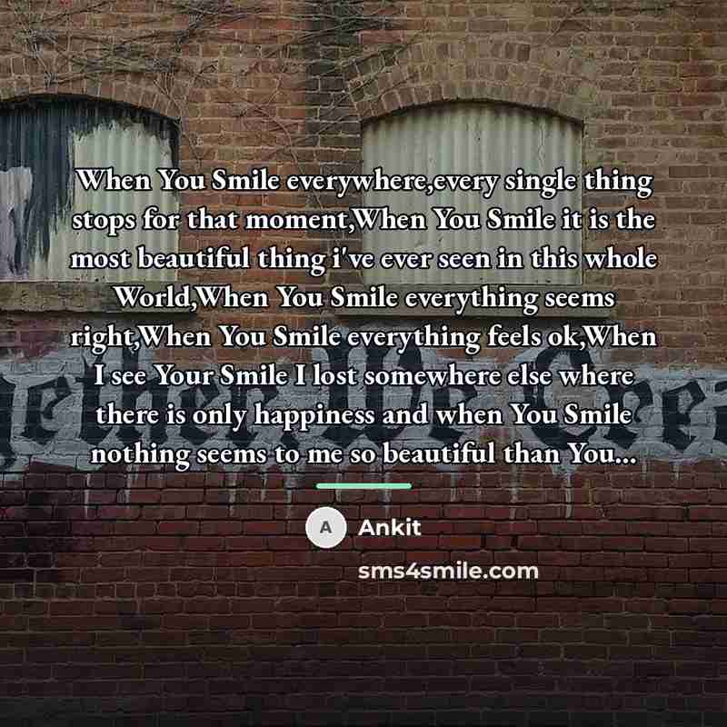 “When You Smile everywhere,every single thing stops for that moment,When…” quote by Ankit