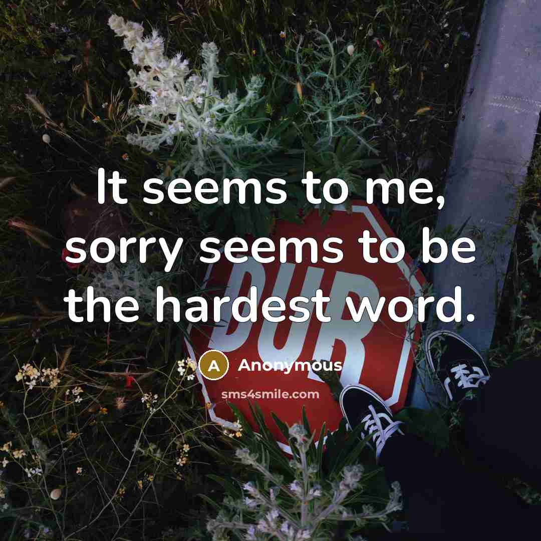 “It seems to me, sorry seems to be the hardest…” quote by Anonymous