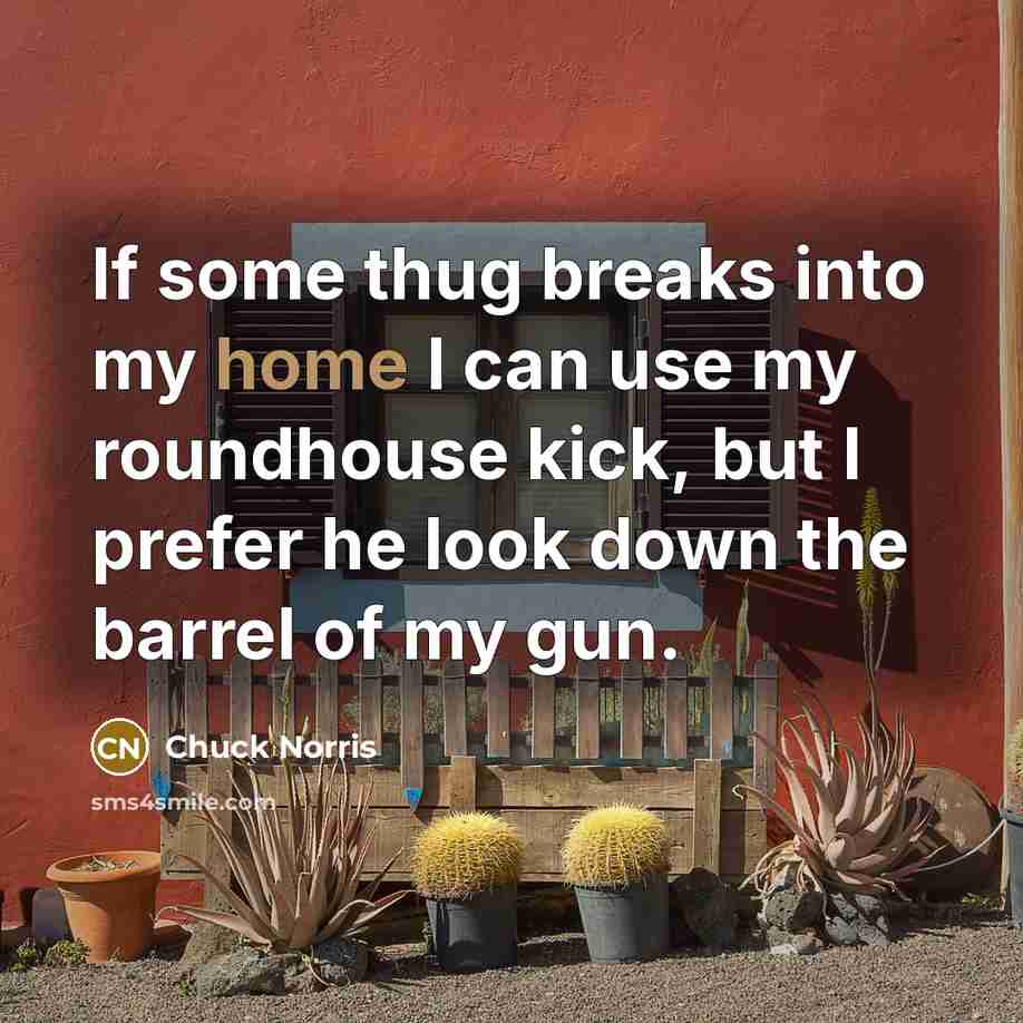 “If some thug breaks into my home I can use…” quote by Chuck Norris