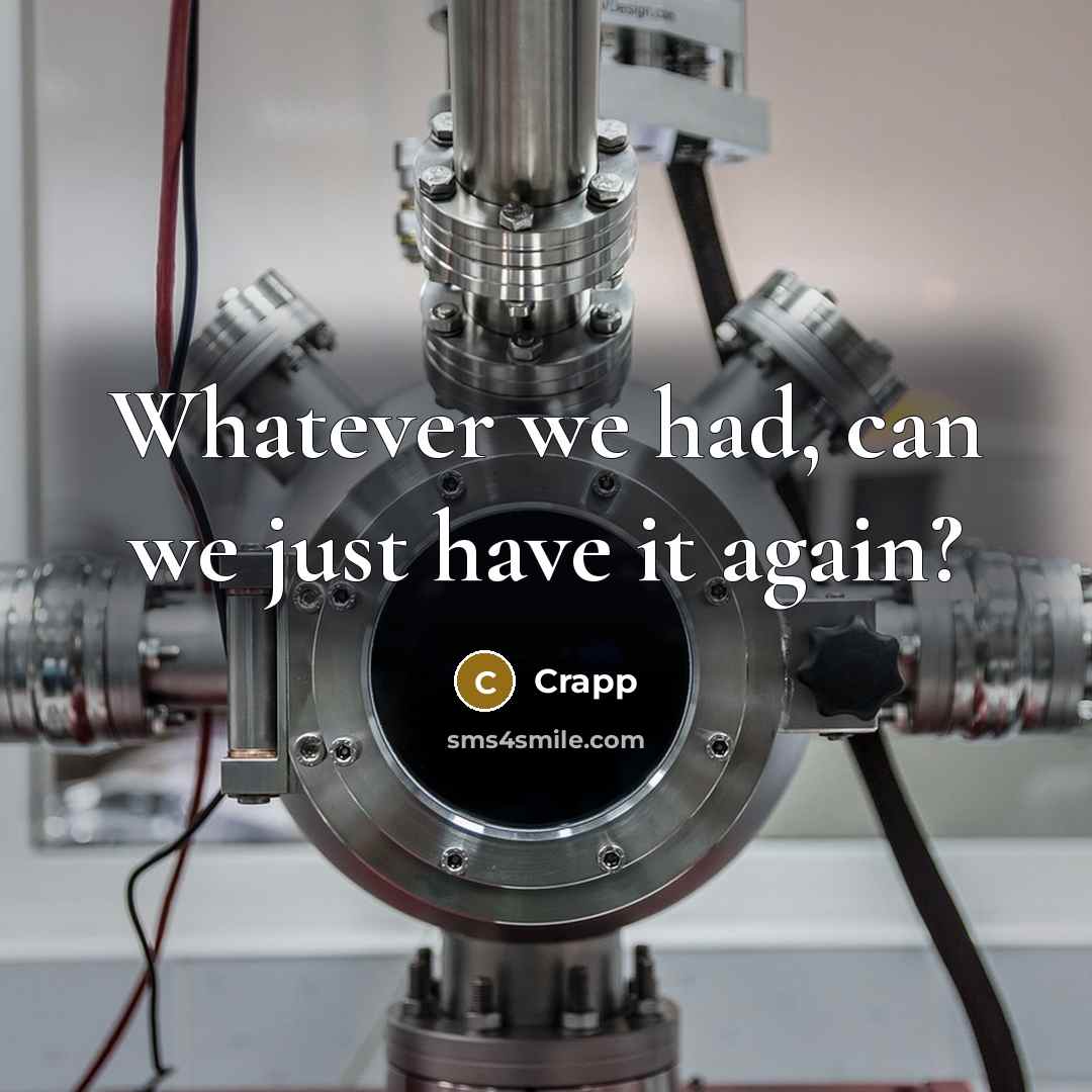 “Whatever we had, can we just have it again?” quote by Crapp