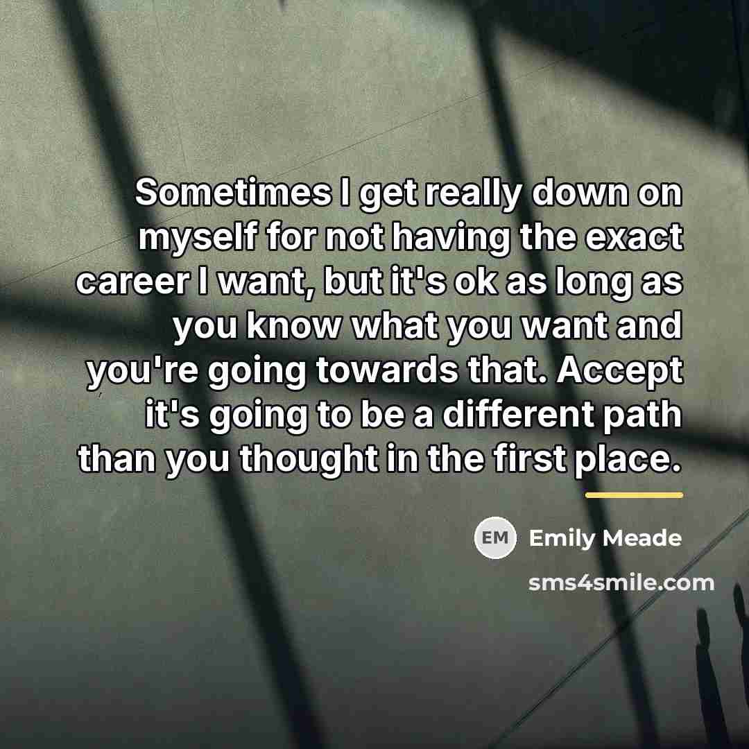 “Sometimes I get really down on myself for not having…” quote by Emily Meade