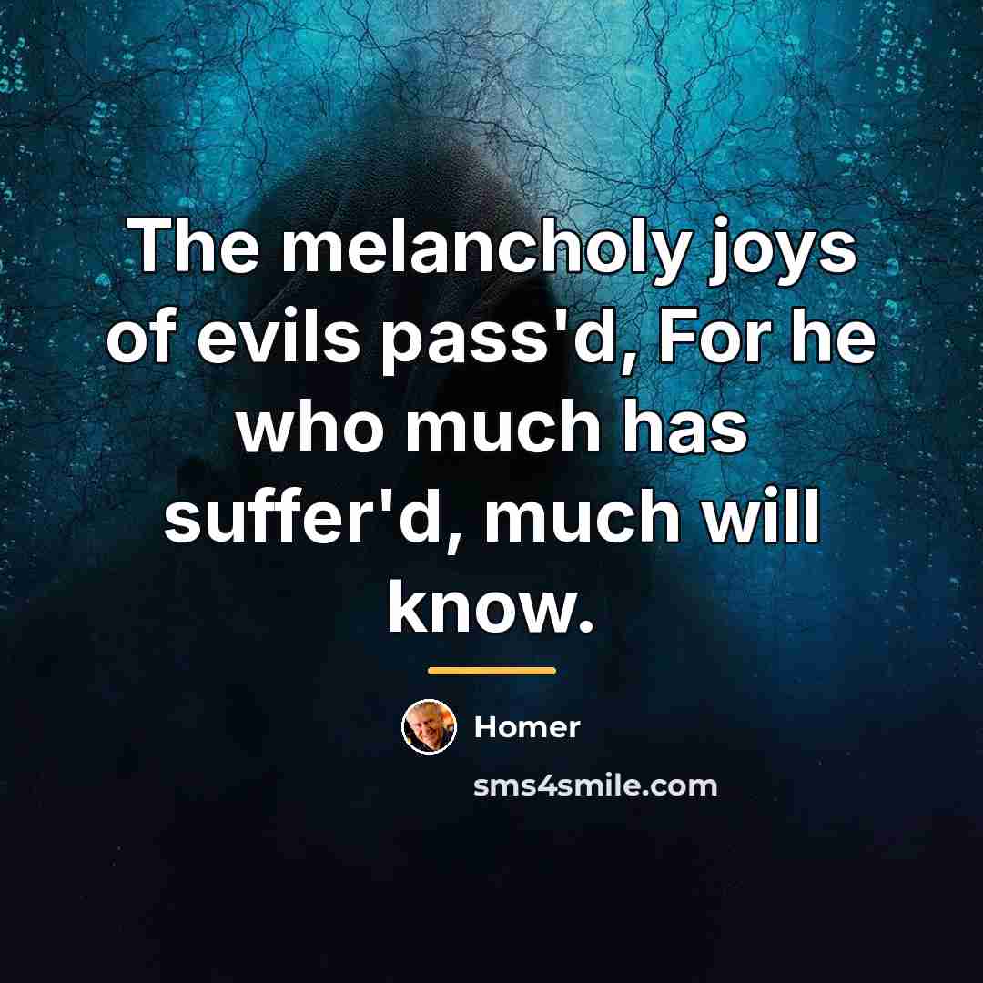 “The melancholy joys of evils pass'd, For he who much…” quote by Homer