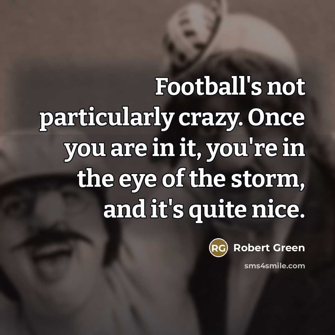 “Football's not particularly crazy. Once you are in it, you're…” quote by Robert Green