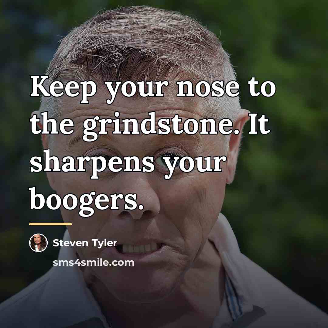 “Keep your nose to the grindstone. It sharpens your boogers.…” quote by Steven Tyler