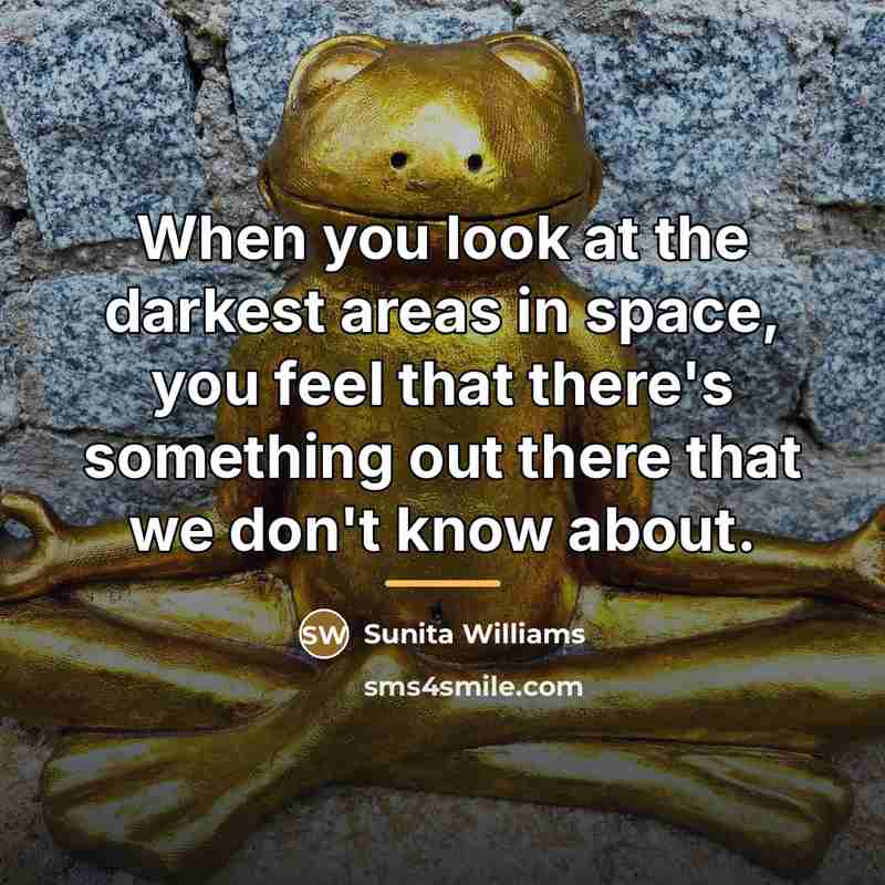 “When you look at the darkest areas in space, you…” quote by Sunita Williams
