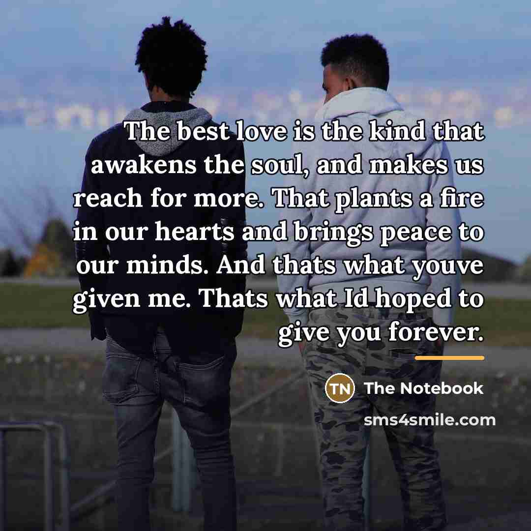 “The best love is the kind that awakens the soul,…” quote by The Notebook