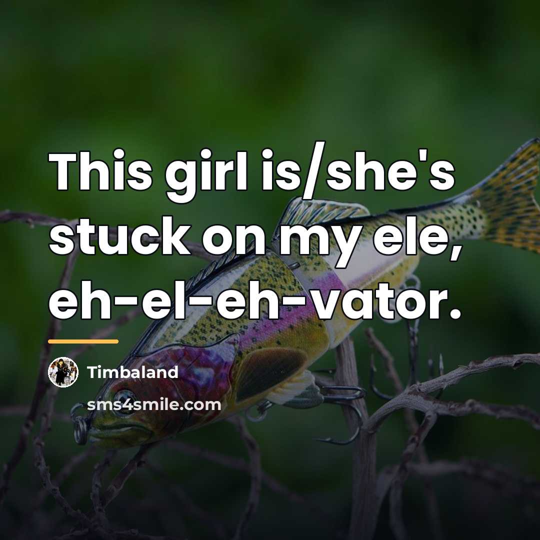 “This girl is/she's stuck on my ele, eh-el-eh-vator.…” quote by Timbaland
