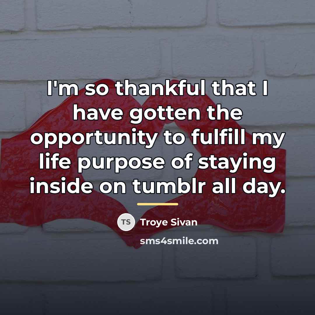 “I'm so thankful that I have gotten the opportunity to…” quote by Troye Sivan