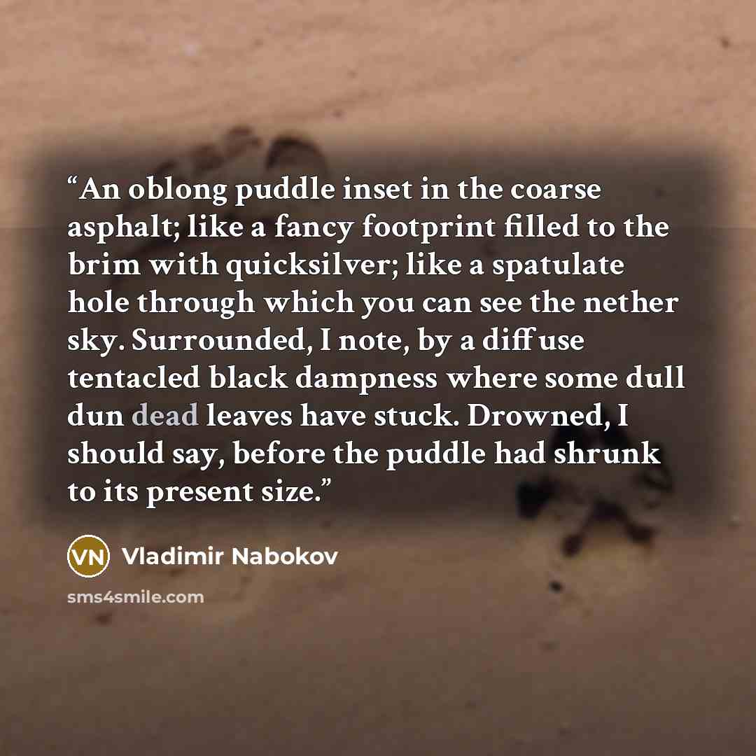 “An oblong puddle inset in the coarse asphalt; like a fancy footprint filled to the brim with quicksilver; like a spatulate hole through which you can see the nether sky. Surrounded, I note, by a diffuse tentacled black dampness where some dull dun dead leaves have stuck. Drowned, I should say…” quote by Vladimir Nabokov