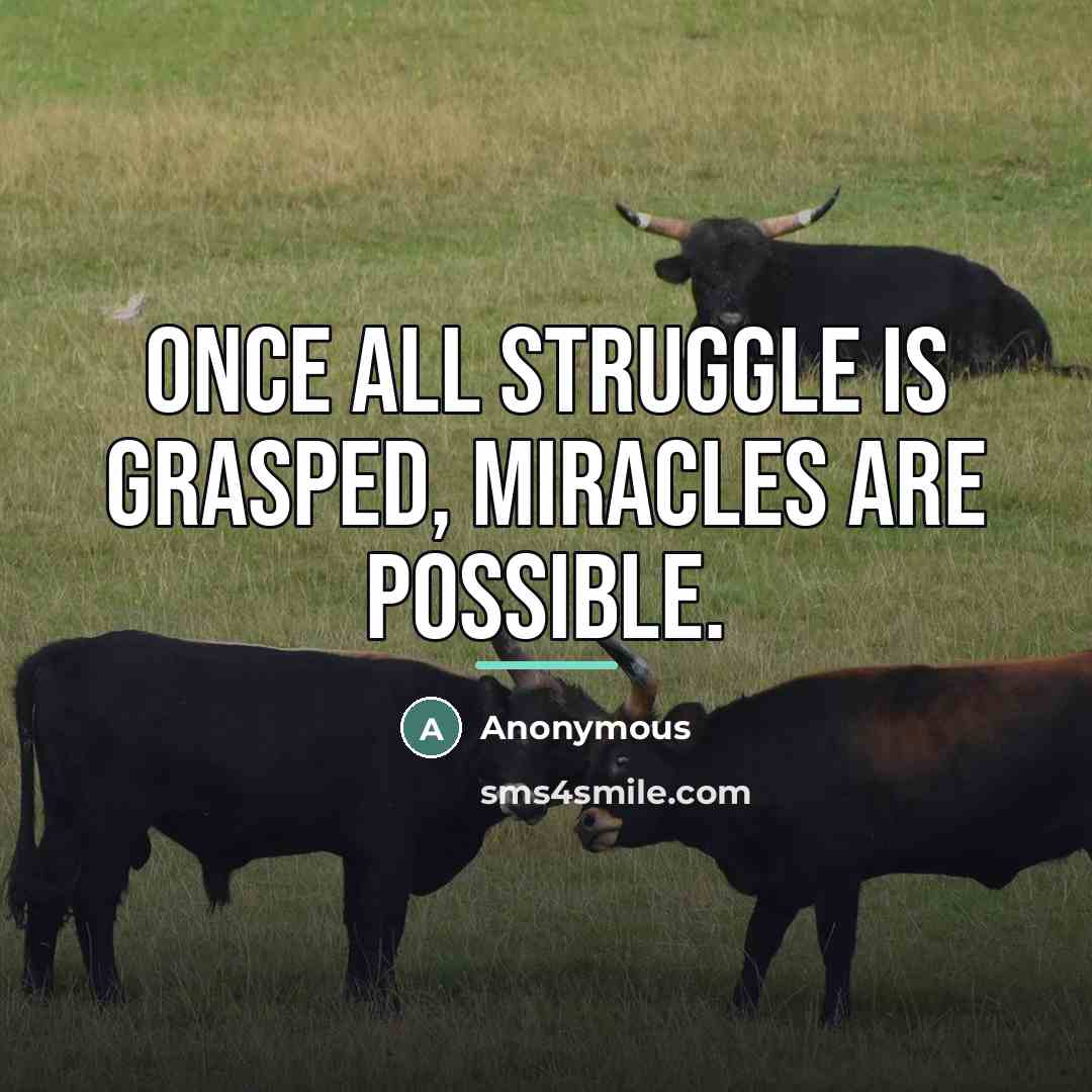 “Once all struggle is grasped, miracles are possible.…” quote by Anonymous