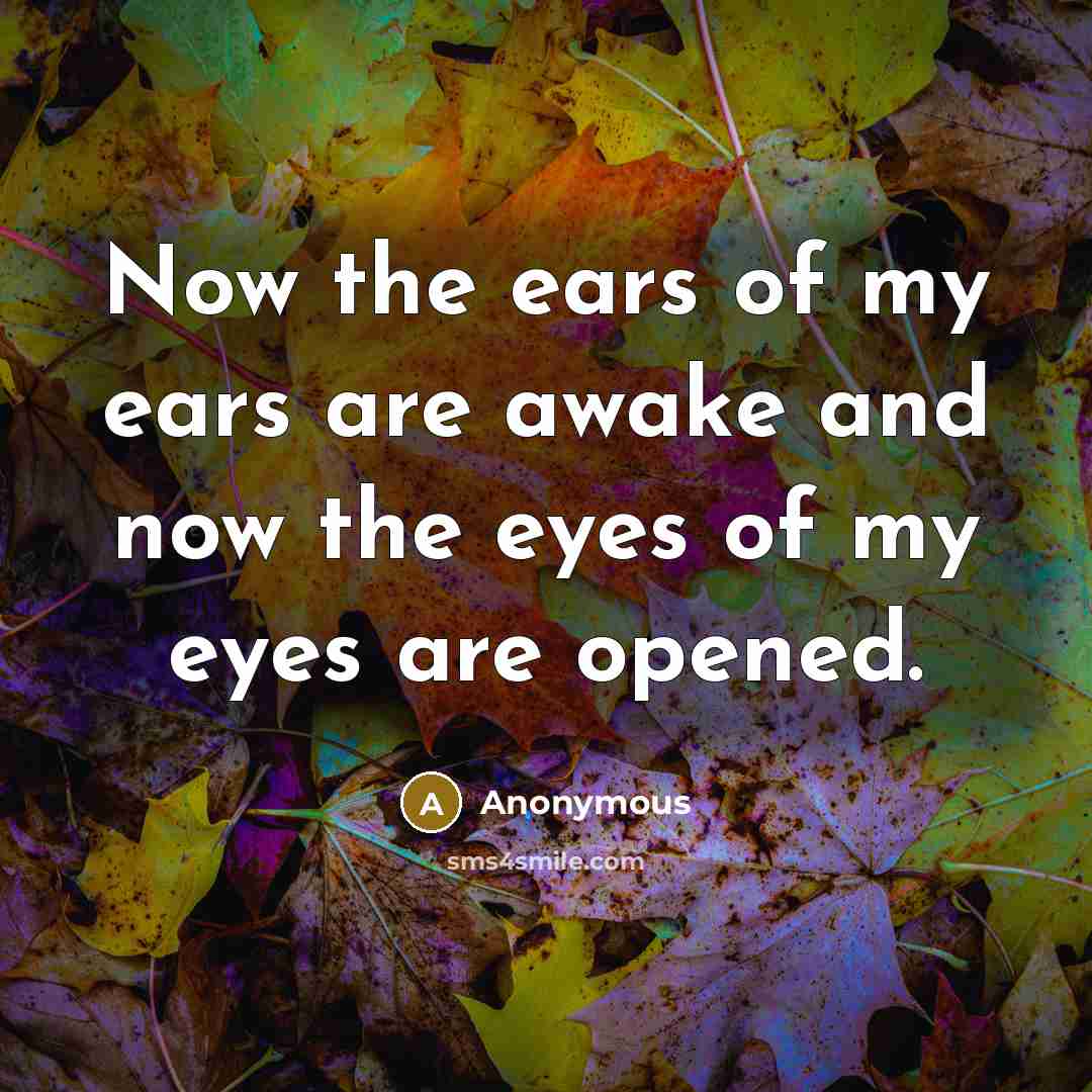 “Now the ears of my ears are awake and now…” quote by Anonymous